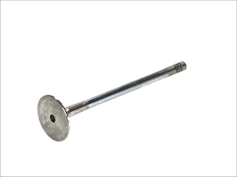 Válvula de escape FRECCIA R4865/RCR para BMW Serie 3 (E30) 1982-1994