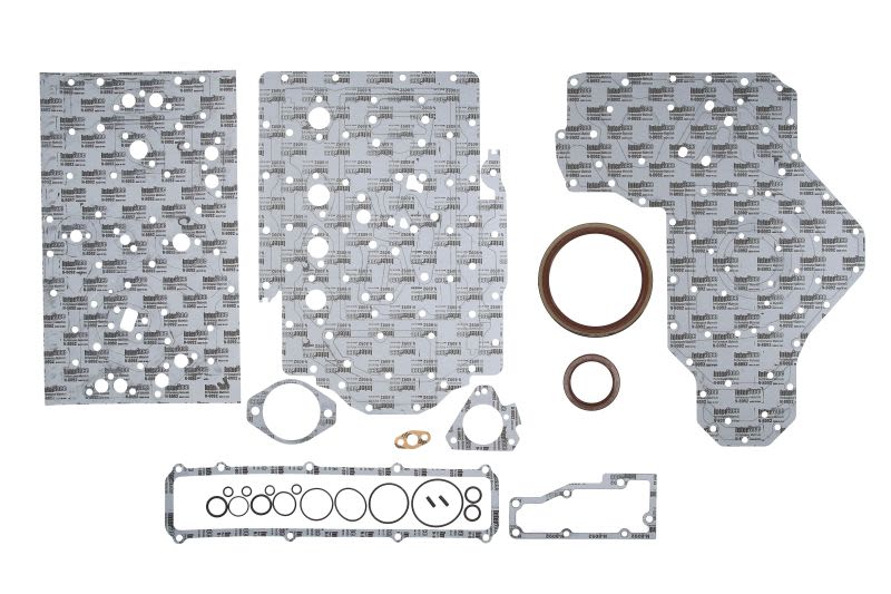 Juego completo de empaquetaduras de motor REINZ 08-41495-01 para JCB 155