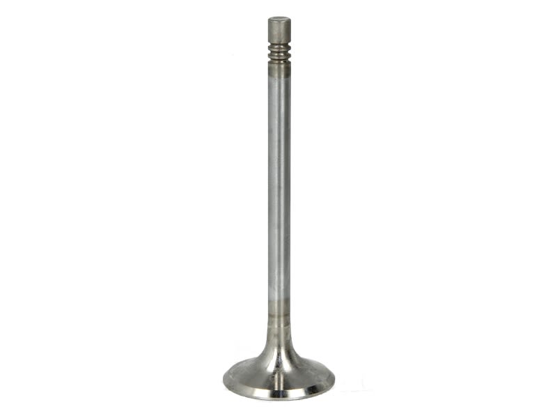 Válvula de escape FRECCIA R6719/RCR para Audi A3