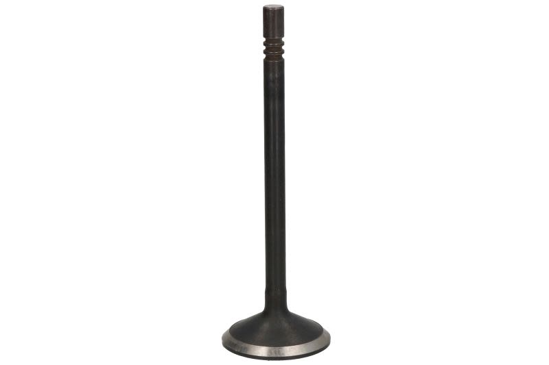 Válvula de escape DNJ EV1105 para Dodge RAM 1500