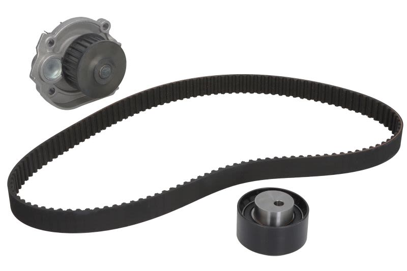 Kit de bomba de agua y correa de distribución SKF VKMC 02204-1 para Fiat Tipo