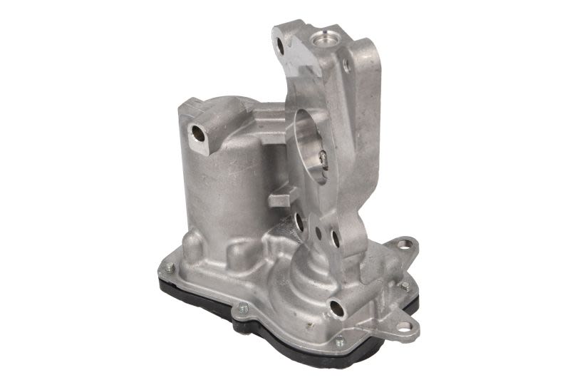 Válvula EGR MEAT & DORIA 88439 para Alfa Romeo Giuli