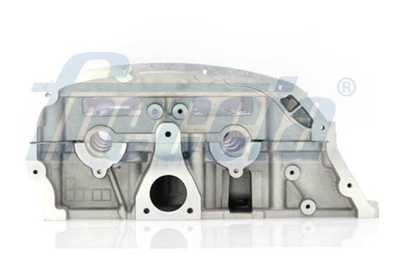 Culata FRECCIA1 CH17-1011 para Ford Range