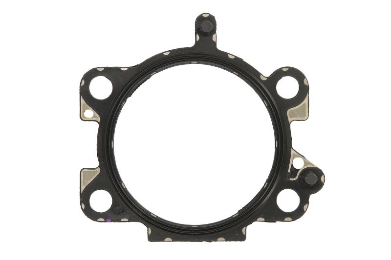 Empaquetadura de cuerpo de aceleración ELRING 369.622 para Jaguar XE