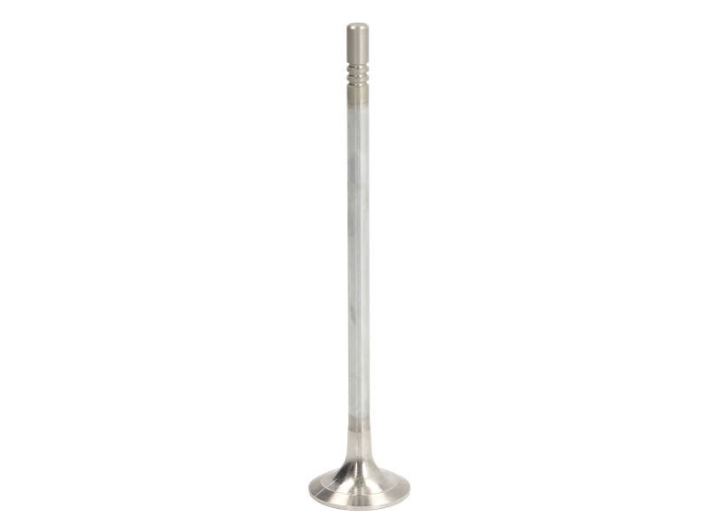 Válvula de escape FRECCIA R6838/RCR para Audi A3