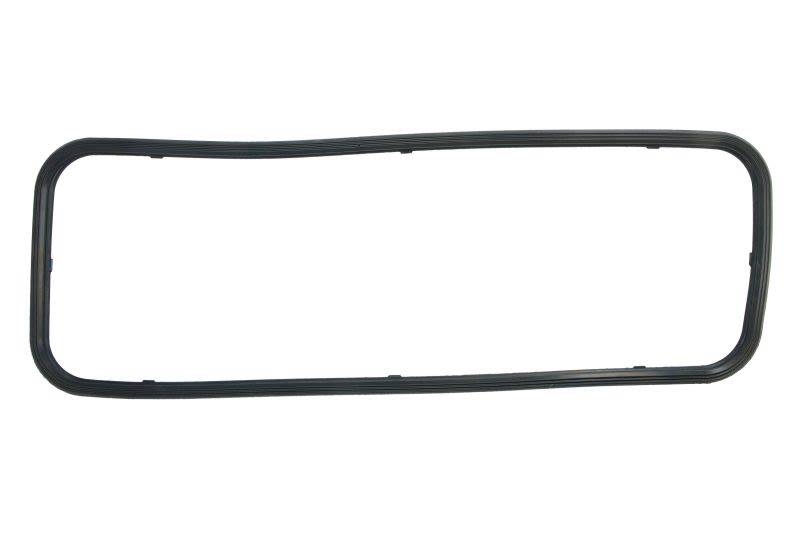 Empaquetadura de cárter de aceite LEMA 25118.22 para Iveco Stralis II