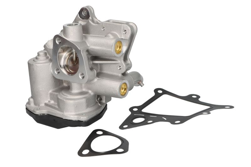 Válvula EGR MAGNETI MARELLI 571822112323 para Peugeot Boxe