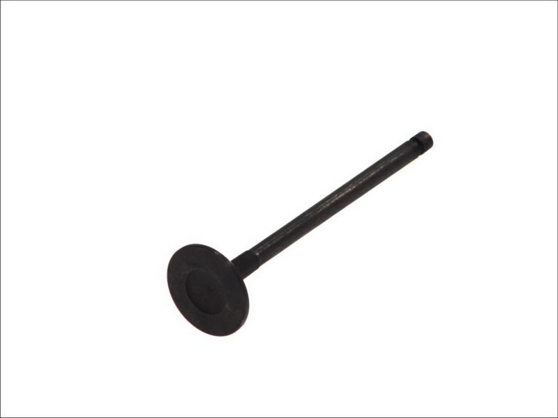 Válvula de admisión FRECCIA R6171/SNT para Hyundai Terracan