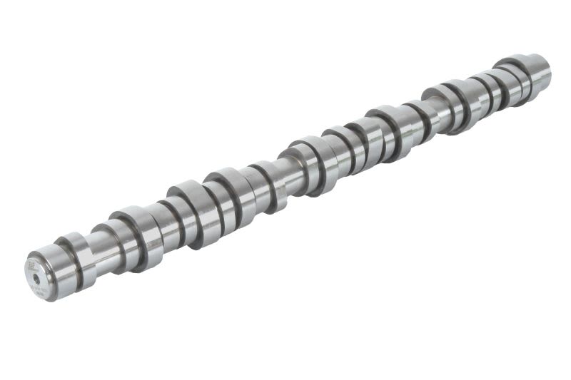 Árbol de levas BF 20100413013 para Volvo FM II