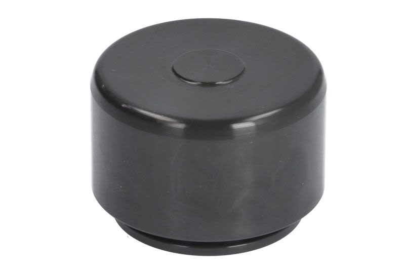 Pistón de cáliper de freno AUTOFREN SEINSA D025747 para Mercedes-Benz Clase C (A205) 2016-2023