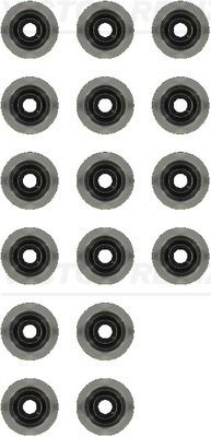 Juego de retenes de vástago de válvula REINZ 12-35549-01 para Ford Range