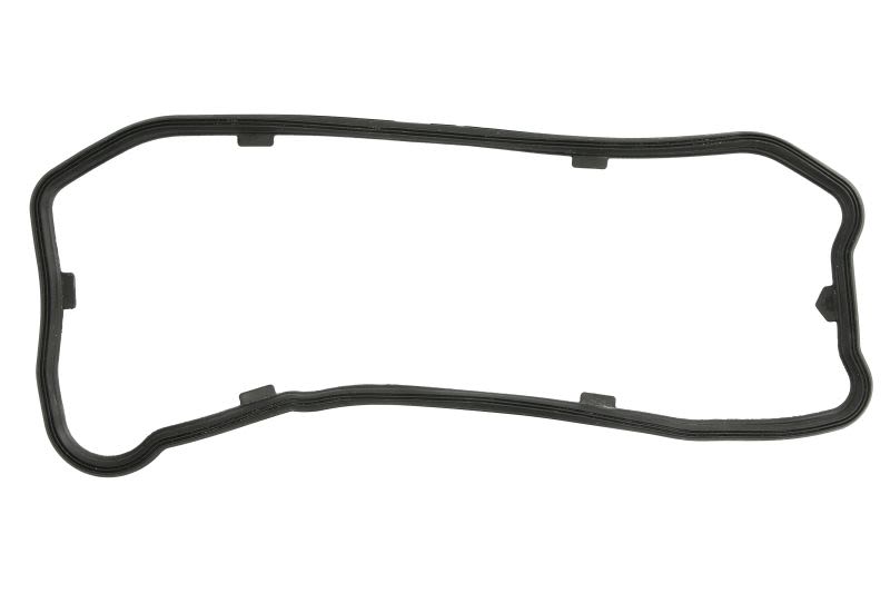 Empaquetadura de cárter de aceite REINZ 71-10042-00 para Iveco Daily V