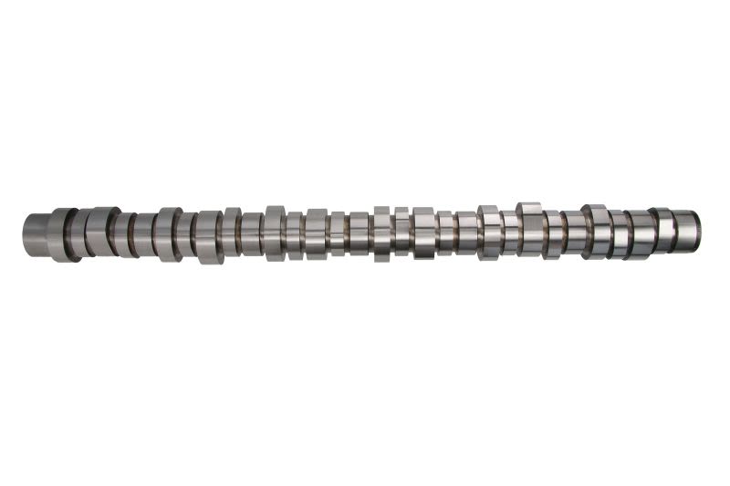 Árbol de levas BF 20100413006 para Volvo FM