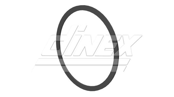 Junta, sistema de escape DINEX — foto 2