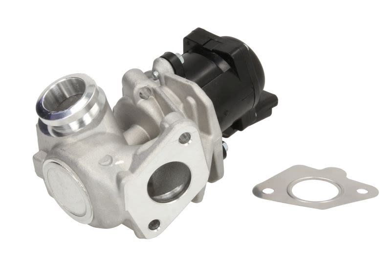 Válvula EGR DELPHI EG10507-12B1 para Citroen C3 I