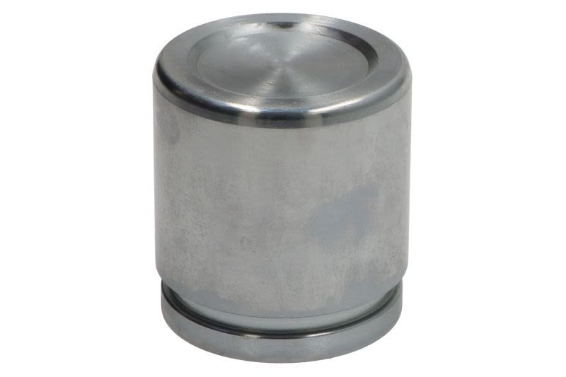 Pistón de cáliper de freno AUTOFREN SEINSA D025394 para Lexus GS 3.0/3.5H/4.3