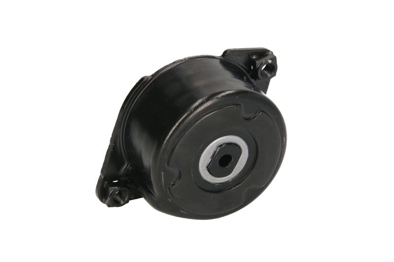 Palanca tensora de correa multicanal SNR GA350.52 para BMW Serie 3 (E46) 1997-2006