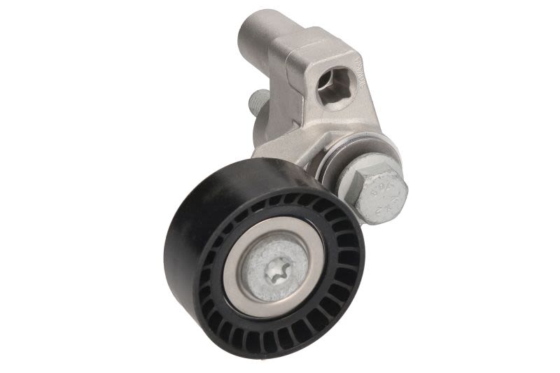 Palanca tensora de correa multicanal INA 534 0100 20 para Peugeot 206
