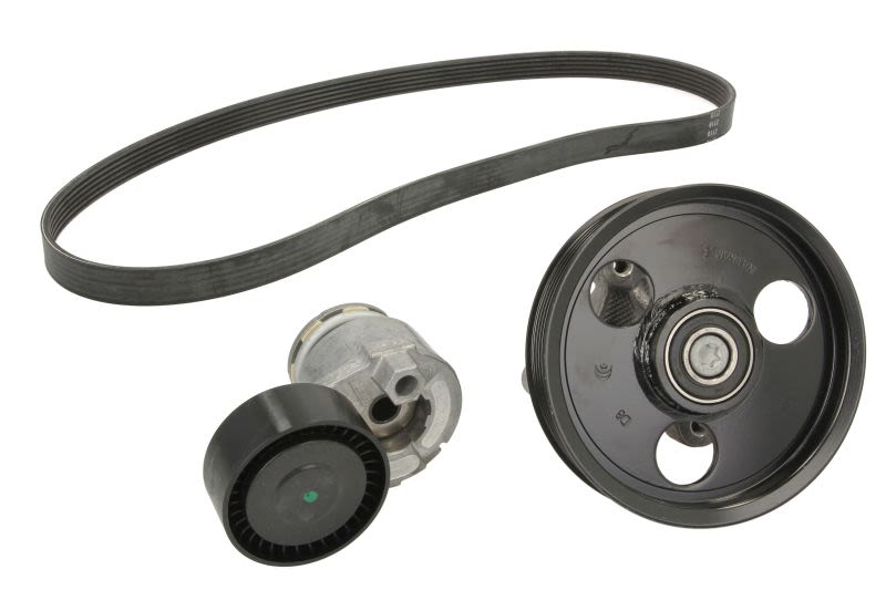 Juego de correa multinervada SKF VKMA 36051 para Renault Clio II