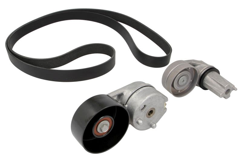 Juego de correa multinervada INA 529 0445 10 para Land Rover Discovery IV
