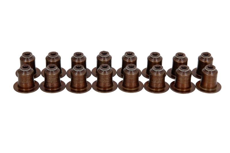 Juego de retenes de vástago de válvula REINZ 12-12643-01 para Ford Range