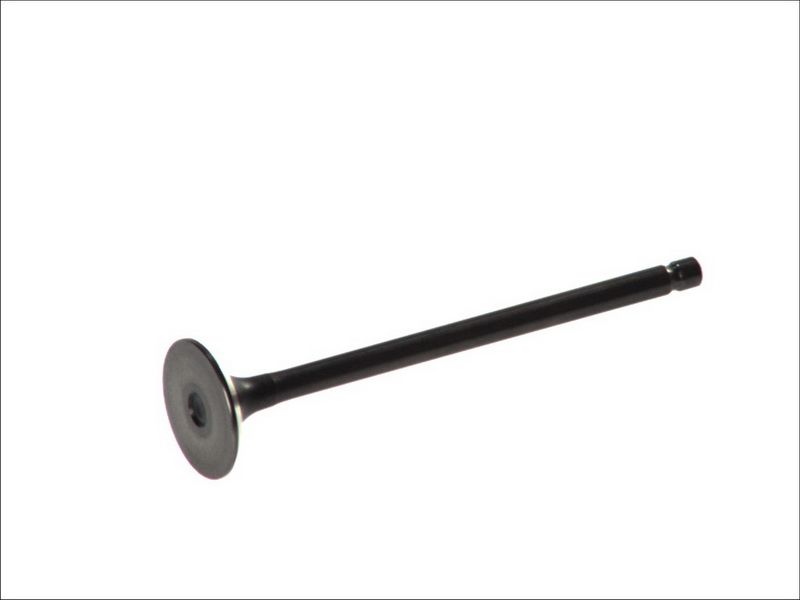 Válvula de escape FRECCIA R6213/RNT para Suzuki Swift IV