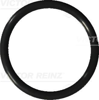 Anillo de retén, tapón de drenaje de aceite REINZ