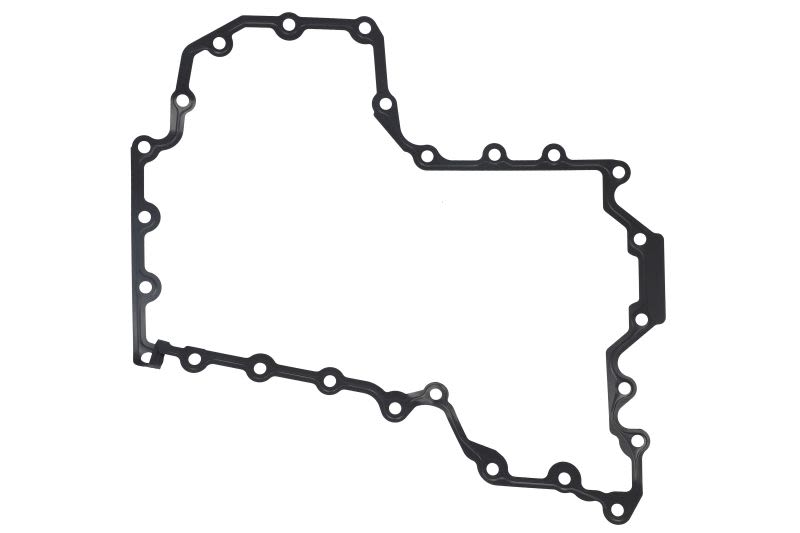 Empaquetadura de cárter de aceite REINZ 71-10305-00 para BMW X5 (E70) 2006-2013
