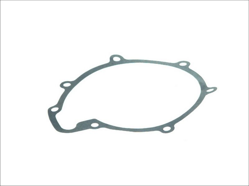 Empaquetadura de bomba de agua DT SPARE PARTS 3.16100 para MAN EL