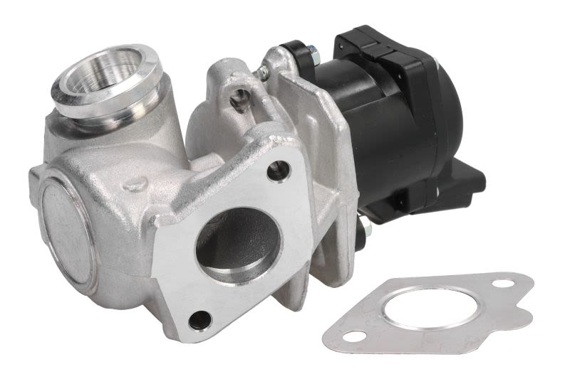 Válvula EGR BORG WARNER 711021D para Citroen C3 I