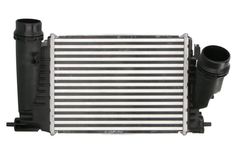 Enfriador de aire de carga (intercooler) THERMOTEC DAR029TT para Renault Megane IV
