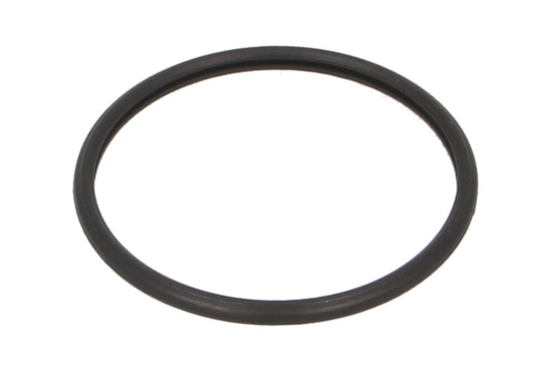 Empaquetadura del termostato MAHLE C31858 para Scania K I