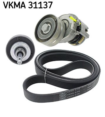 Juego de correa multinervada SKF VKMA 31137 para Volkswagen Golf V