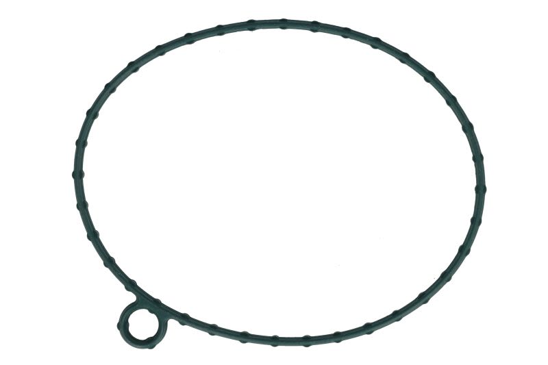 Empaquetadura de bomba de agua FP DIESEL R527663-FP para John Deere 7250