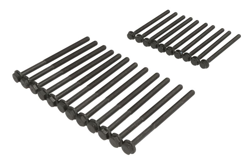 Juego de pernos de culata REINZ 14-32204-02 para Ford Range