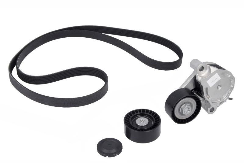 Juego de correa multinervada INA 529 0516 10 para BMW Serie 2 (F45) 2013-2021