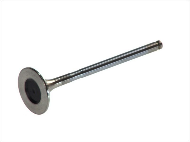 Válvula de escape FRECCIA R6348/RCR para Peugeot 406