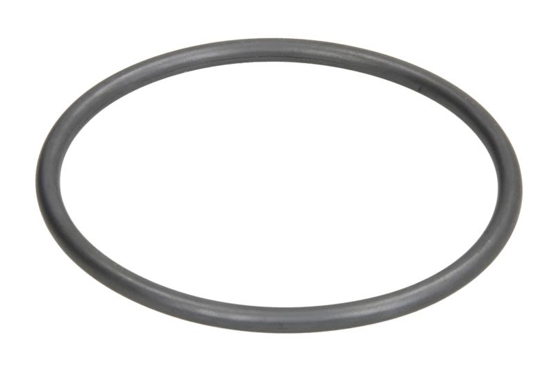Sello del termostato ELRING 002.240 para Mercedes-Benz Clase C (W203) 2000-2007