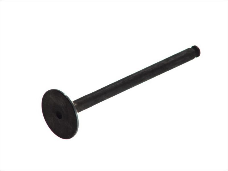 Válvula de escape FRECCIA R6093/BMCR para Citroen C4 I