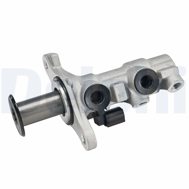 Cilindro maestro de freno DELPHI LM80925 para Volkswagen Tiguan