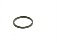 Anillo de sello, enfriador de aceite (lubricación) LEMA
