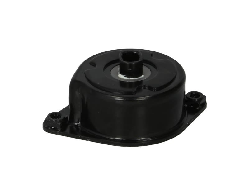 Palanca tensora de correa multicanal INA 534 0239 10 para BMW Serie 3 (E46) 1997-2006