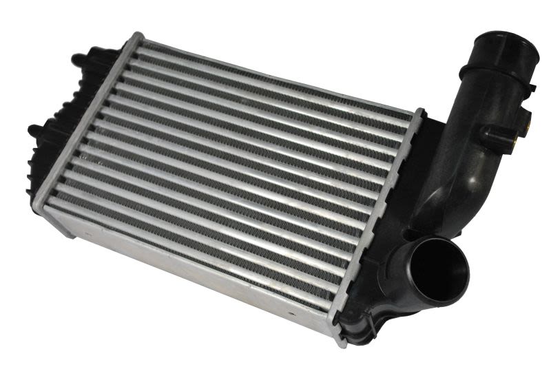 Enfriador de aire de carga (intercooler) THERMOTEC DAF001TT