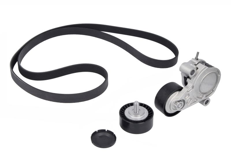 Juego de correa multinervada INA 529 0516 10 para BMW Serie 2 (F45) 2013-2021
