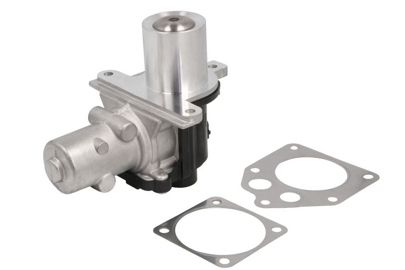 Válvula EGR DELPHI EG10425-12B1 para Nissan Note