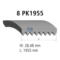 Correa multinervada DT SPARE PARTS