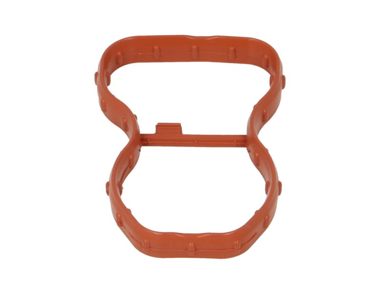 Empaquetadura de múltiple de admisión REINZ 71-10390-00 para BMW Serie 3 (F30, F80) 2011-2019
