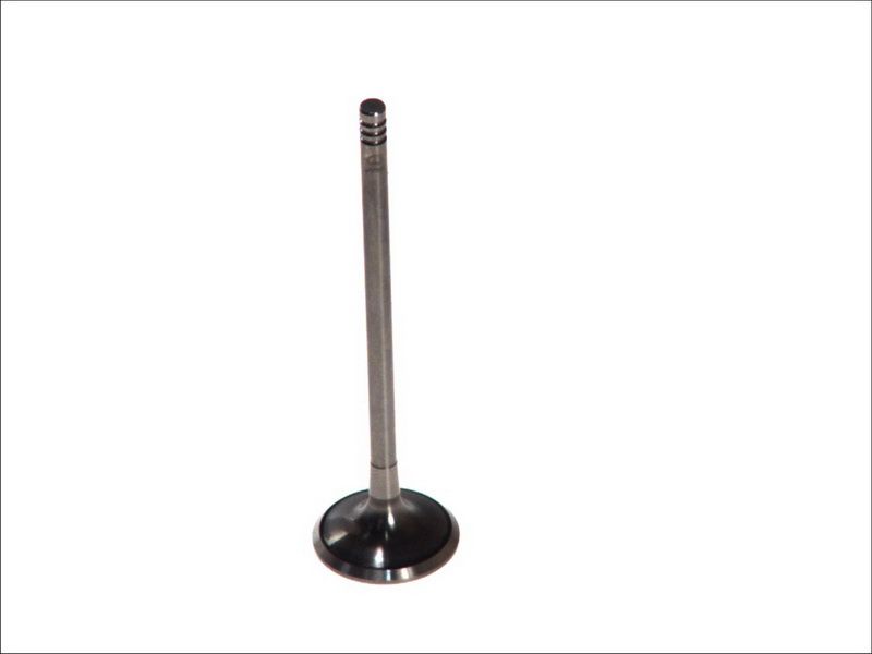 Válvula de escape PARADOWSCY POPE028 para Opel Corsa C