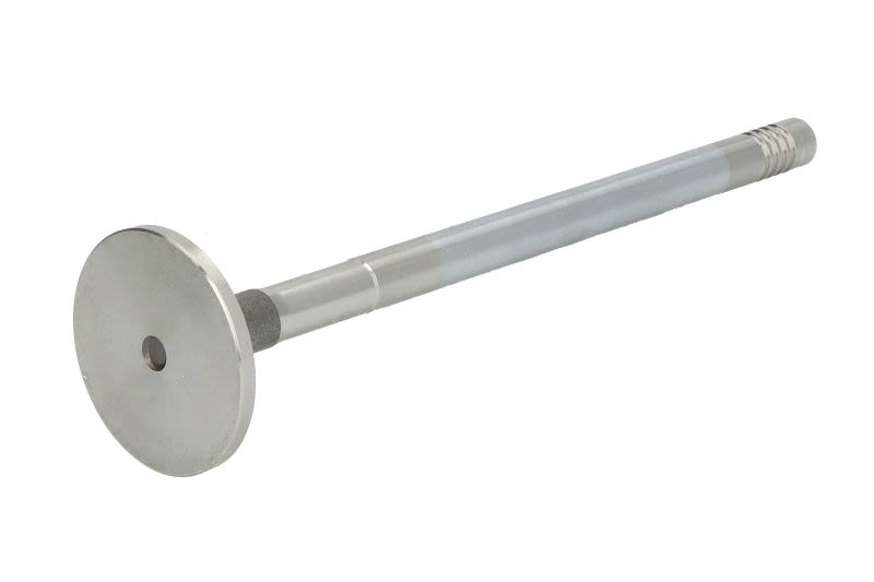 Válvula de escape FRECCIA R6882/BMCR para Scania K I