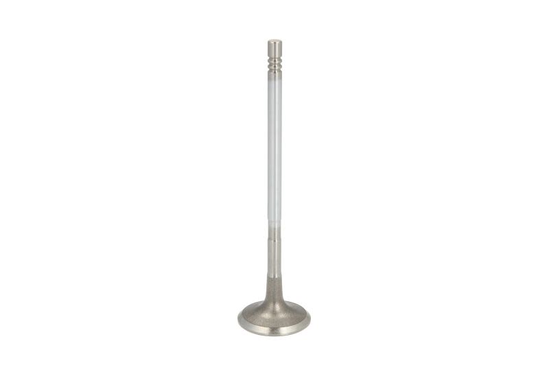 Válvula de admisión FRECCIA R6893/SCR para Opel Astra J